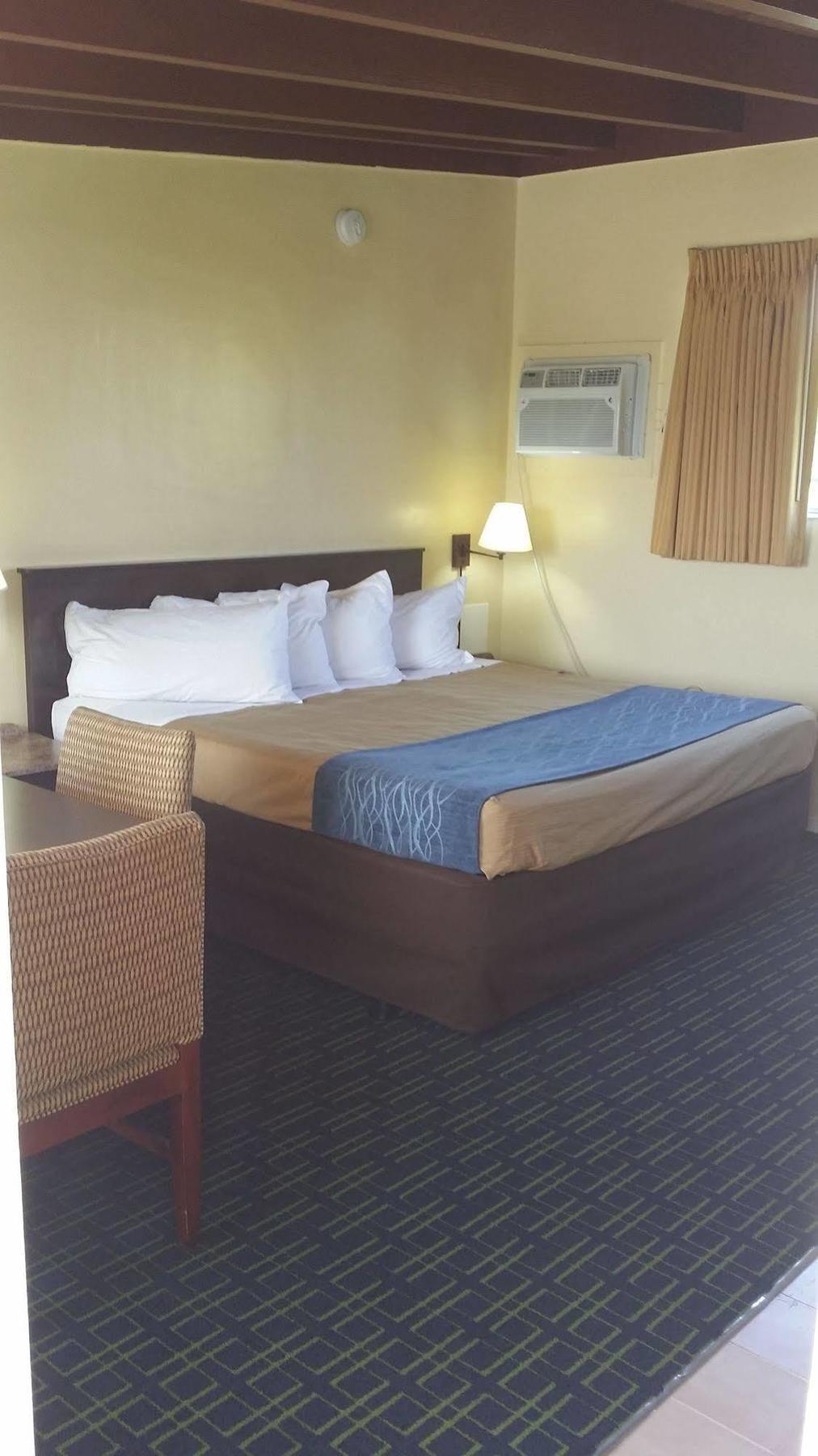 The Palms On Ocean Motel Pompano Beach Luaran gambar
