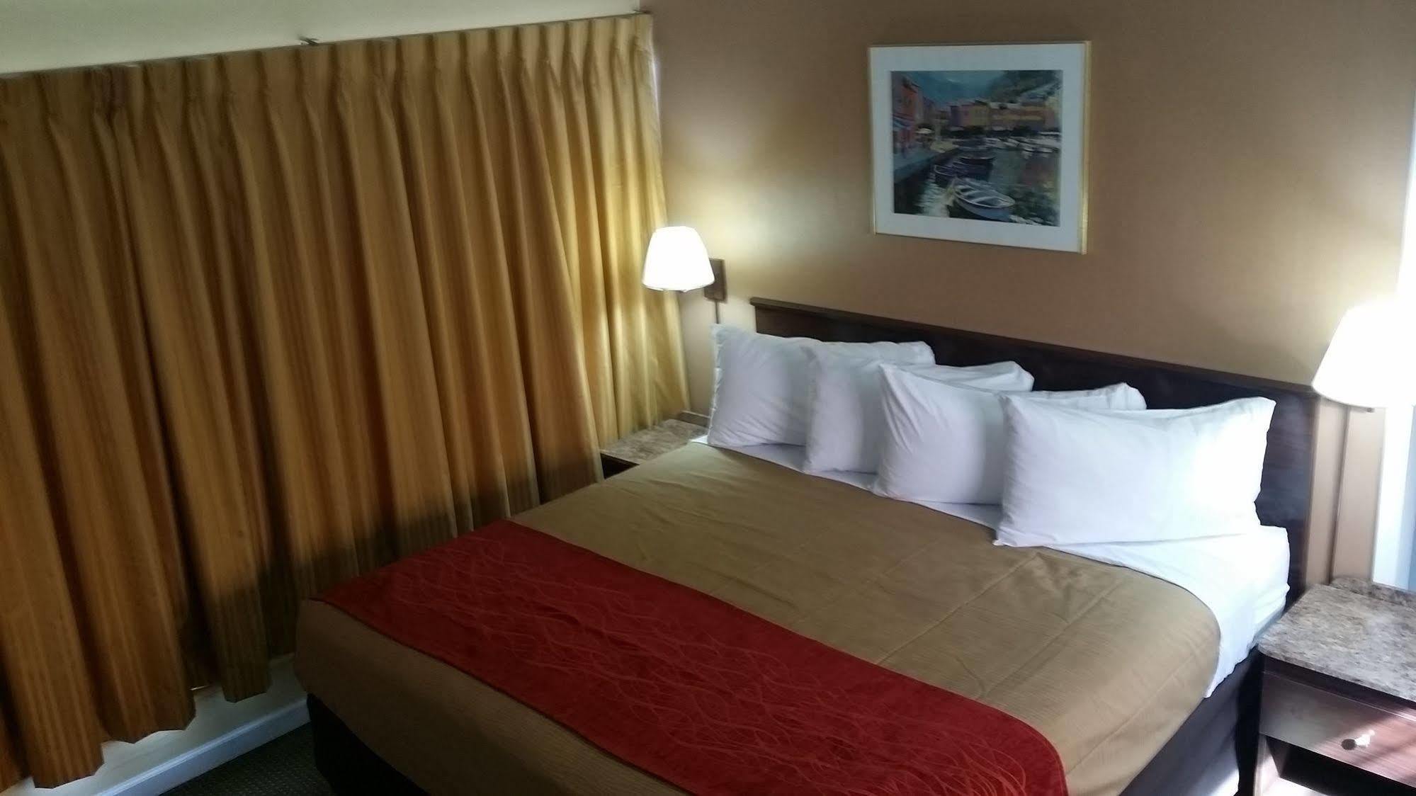 The Palms On Ocean Motel Pompano Beach Luaran gambar